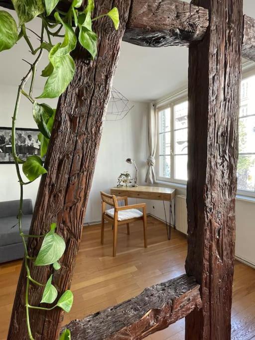 Appartement 2 Chambres Au Coeur De Στρασβούργο Εξωτερικό φωτογραφία