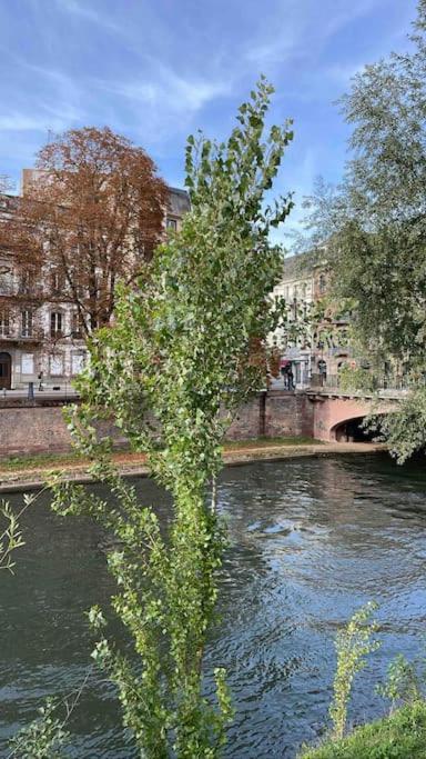 Appartement 2 Chambres Au Coeur De Στρασβούργο Εξωτερικό φωτογραφία