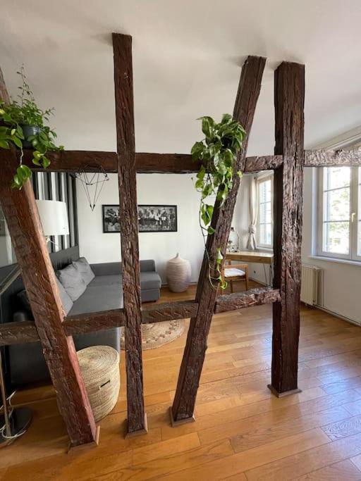 Appartement 2 Chambres Au Coeur De Στρασβούργο Εξωτερικό φωτογραφία
